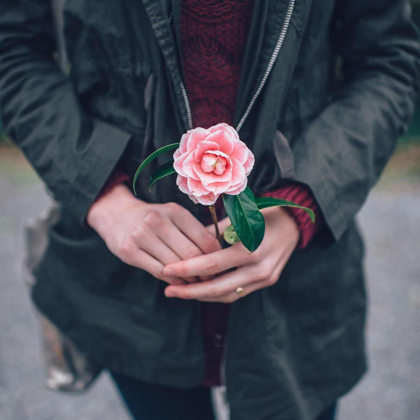 Découvrez les ralisations de notre magasin de fleurs Tutulipe à Delémont