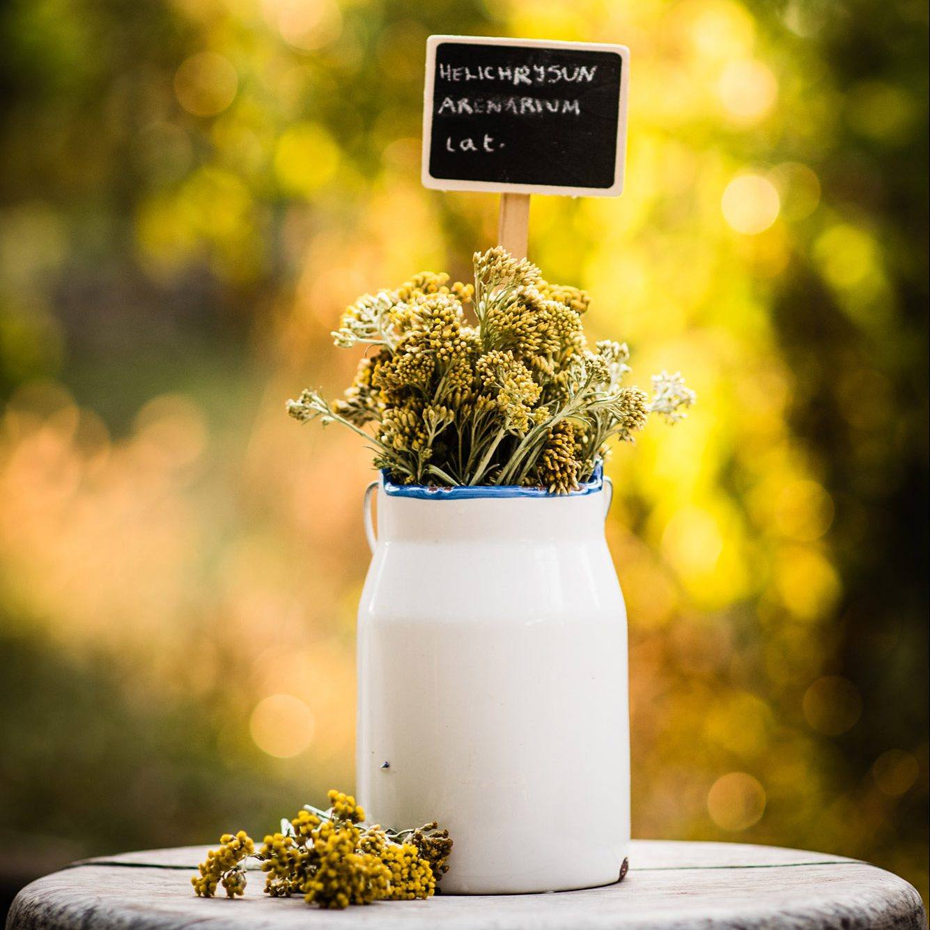 Découvrez les réalisations de notre magasin de fleurs Tutulipe à Delémont